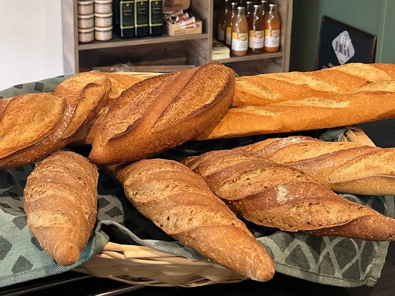 Camping L'Ombrage | 4 étoiles en Ardèche à Ruoms